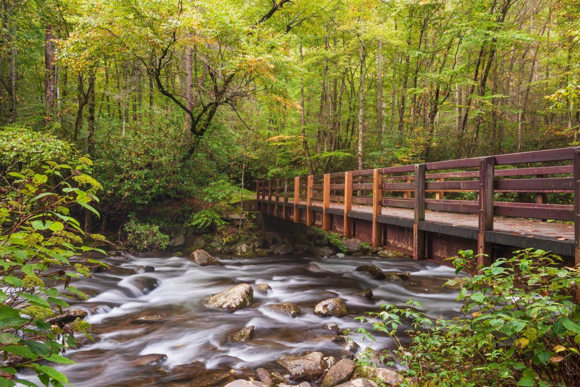 Bear Den, Hot Tub, 1089 Of Free Attraction Tickets For Each Paid Day, Dollywood And More! Sevierville Zewnętrze zdjęcie